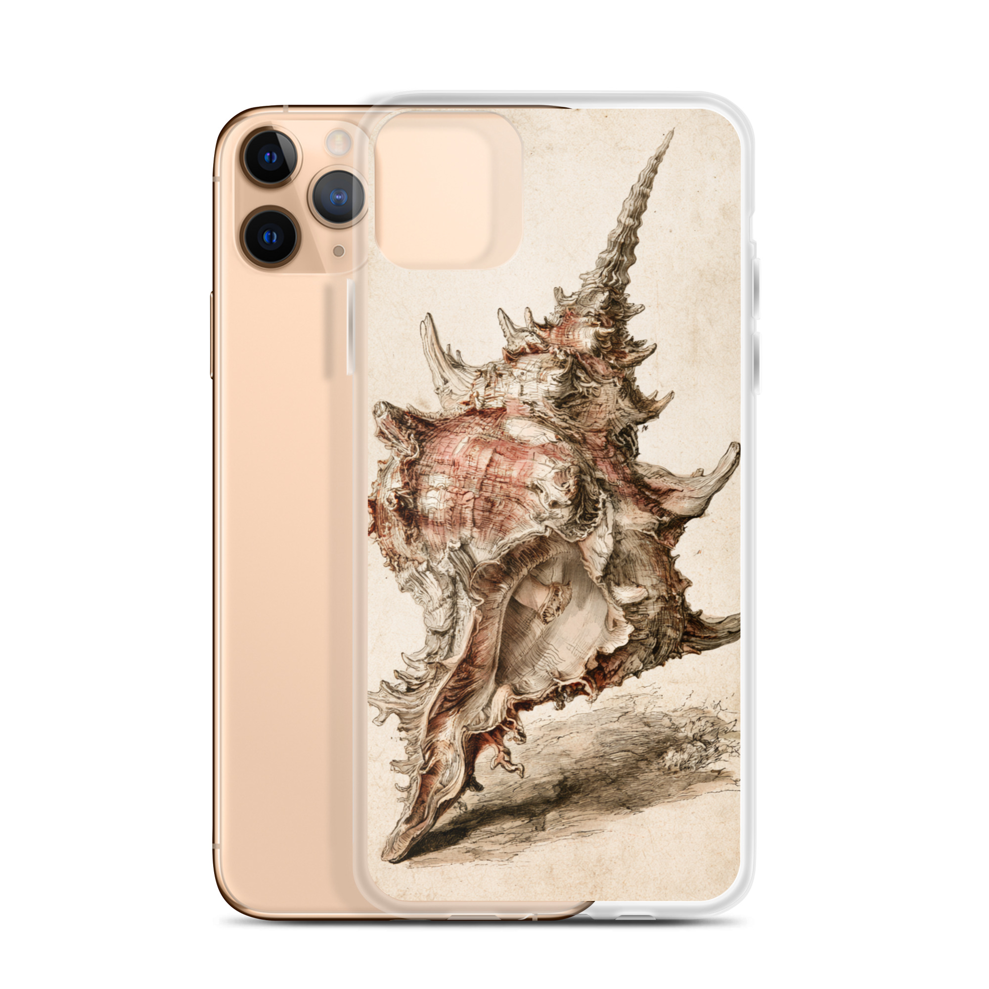clear-case-for-iphone-iphone-11-pro-max-case-with-phone-6a847dd10b8d5.jpg Conch Shell iPhone Case | Nature Art - Image 1